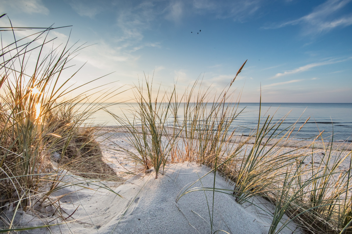 Asset63493f8c37d692 78176158 - Ferien & Urlaub mit Gastdialyse